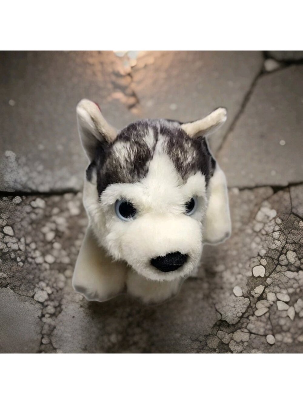 Aurora Miyoni Tots Husky Puppy Dog Plush Blue Eyes 9 Inch Stuffed Animal Toy‎
